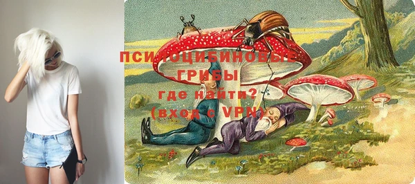 круглые Алзамай